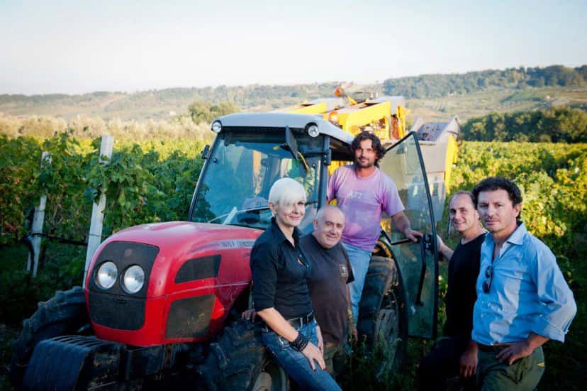 Browse all wine tastings in Abruzzo