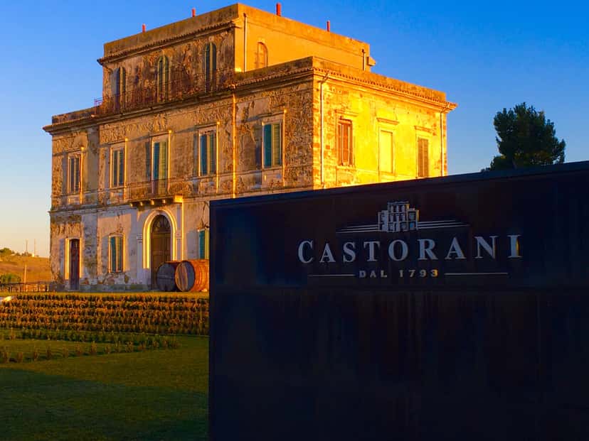 Castorani Winery