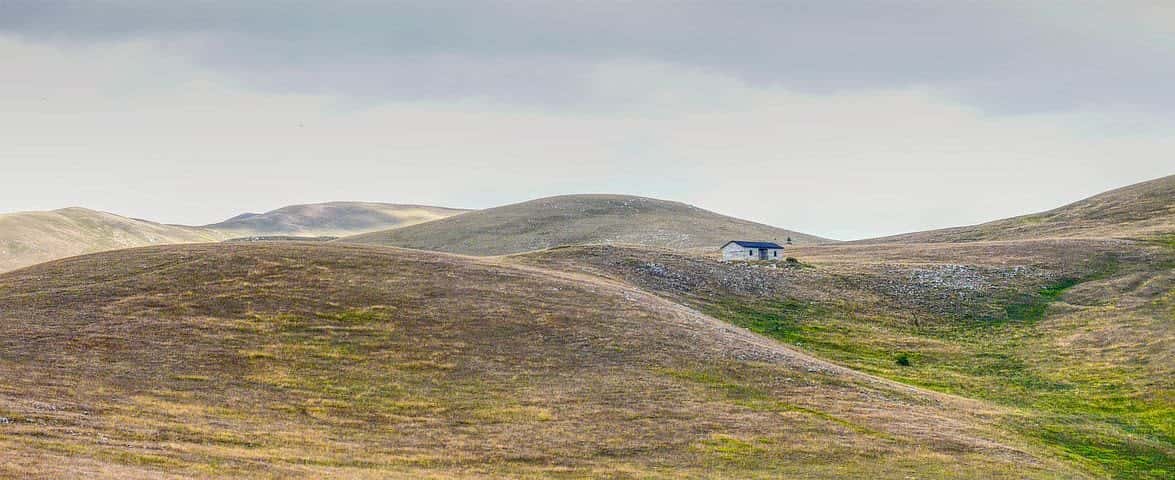Wine region landscape