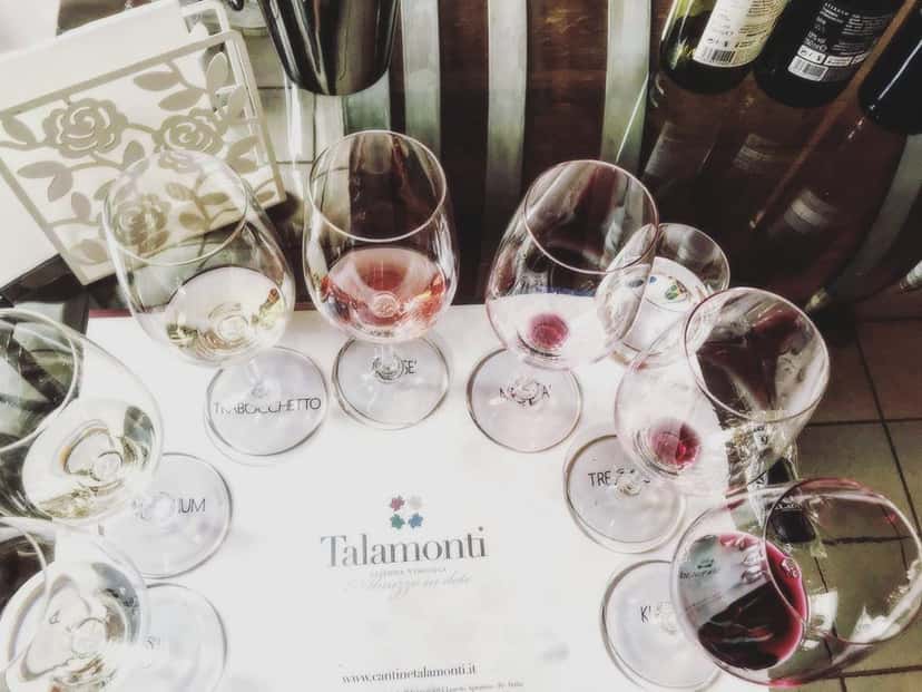 Abruzzo Wine Journey at Tenuta Talamonti