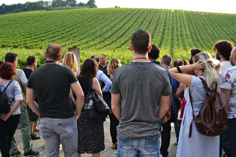 Abruzzo Wine & Vineyard Journey at Tenuta Arabona