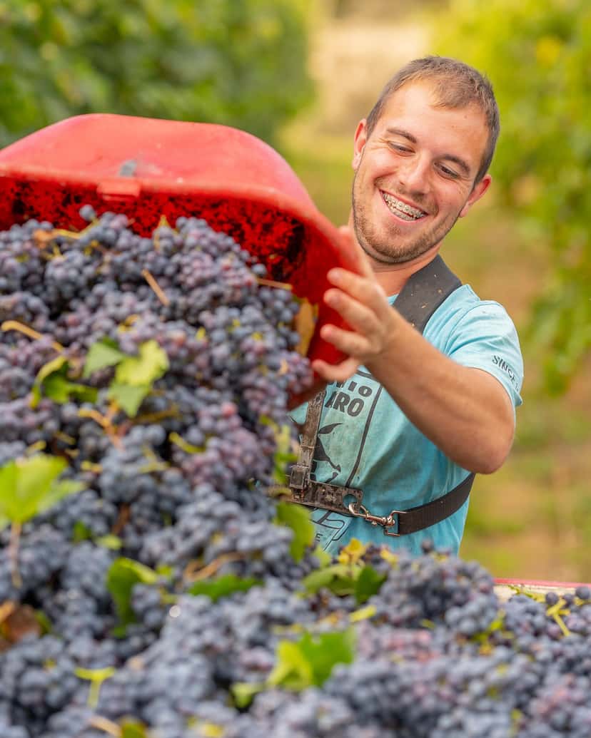 Tenuta Arabona