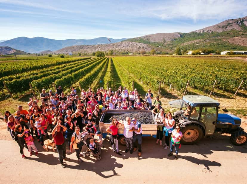 Browse all wine festivals in Abruzzo